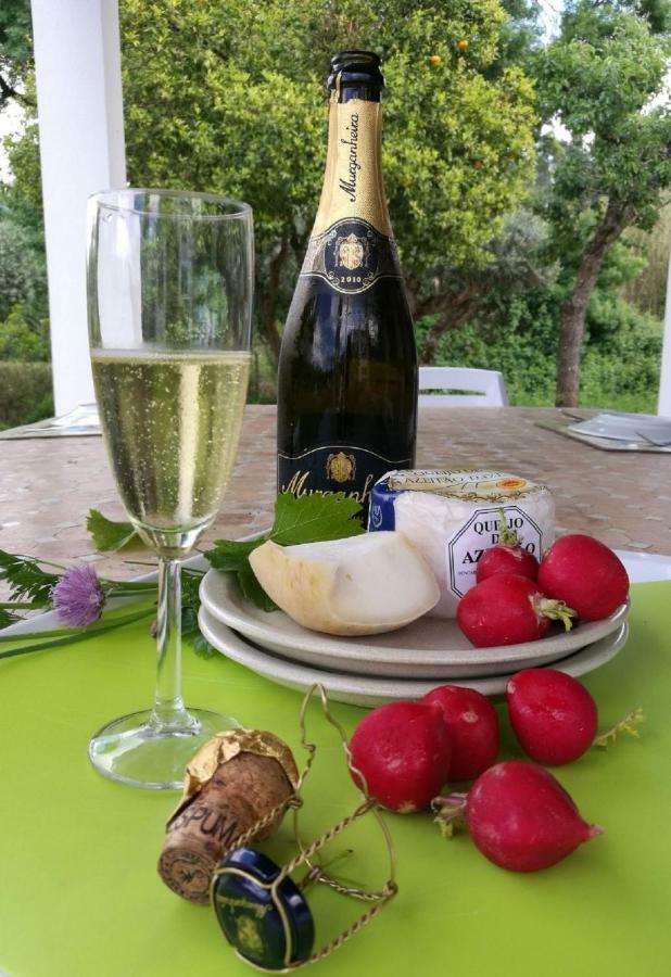 Quinta Villa Arrabida Vila Fresca 외부 사진